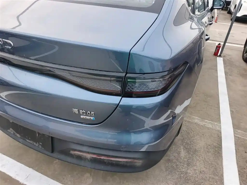 BYD Hai Bao 05 DM-i 2025 DM-i Smart Driving Edition 120KM Flagship фото 8
