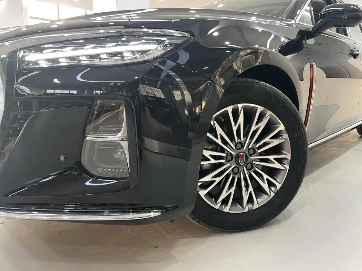 Hongqi H5 2023 2.0T Auto Smart Connect Flag Enjoy фото 12