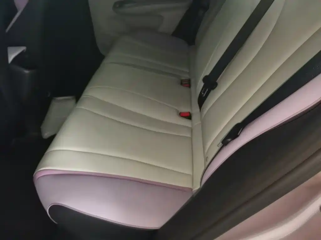 BYD Dolphin 2021 2021 Model 405km Fashion Edition