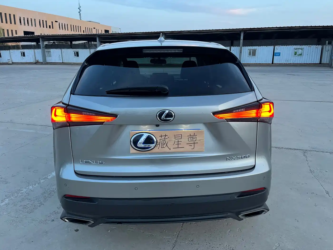 Lexus NX 2018 Model 300 FWD Fengxing Edition фото 14