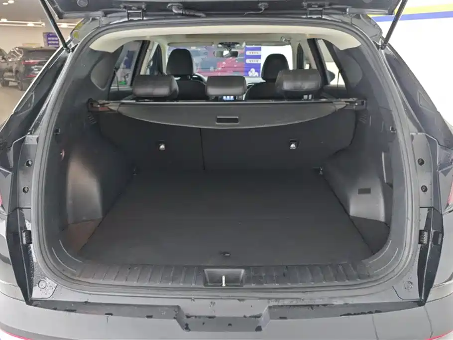 Hyundai Tucson 2023 Tucson L 1.5T Automatic 2WD GLX Elite Edition фото 4