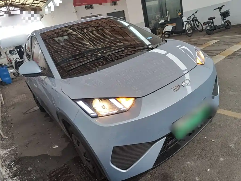 BYD Seagull 2026 2025 Smart Drive Edition 305km Vitality Version