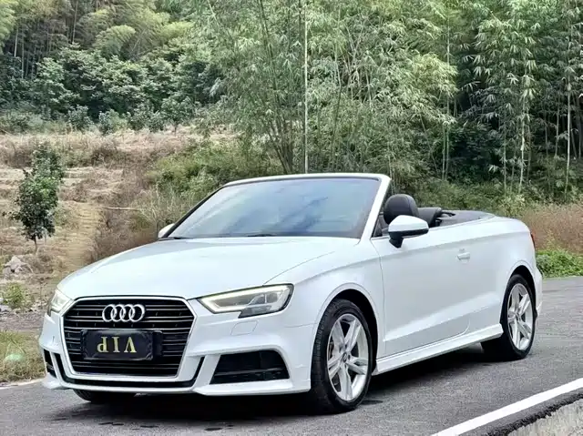  Audi Audi A3 (Import) 2017 Cabriolet 40 TFSI