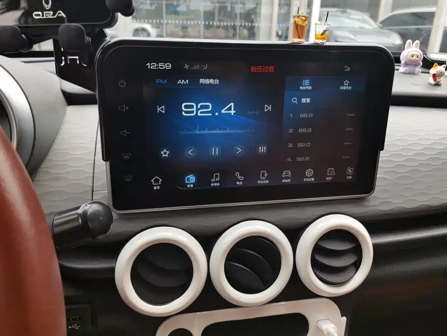 Ora Black Cat 2022 2022 Facelift 301km Pet Edition LFP Version