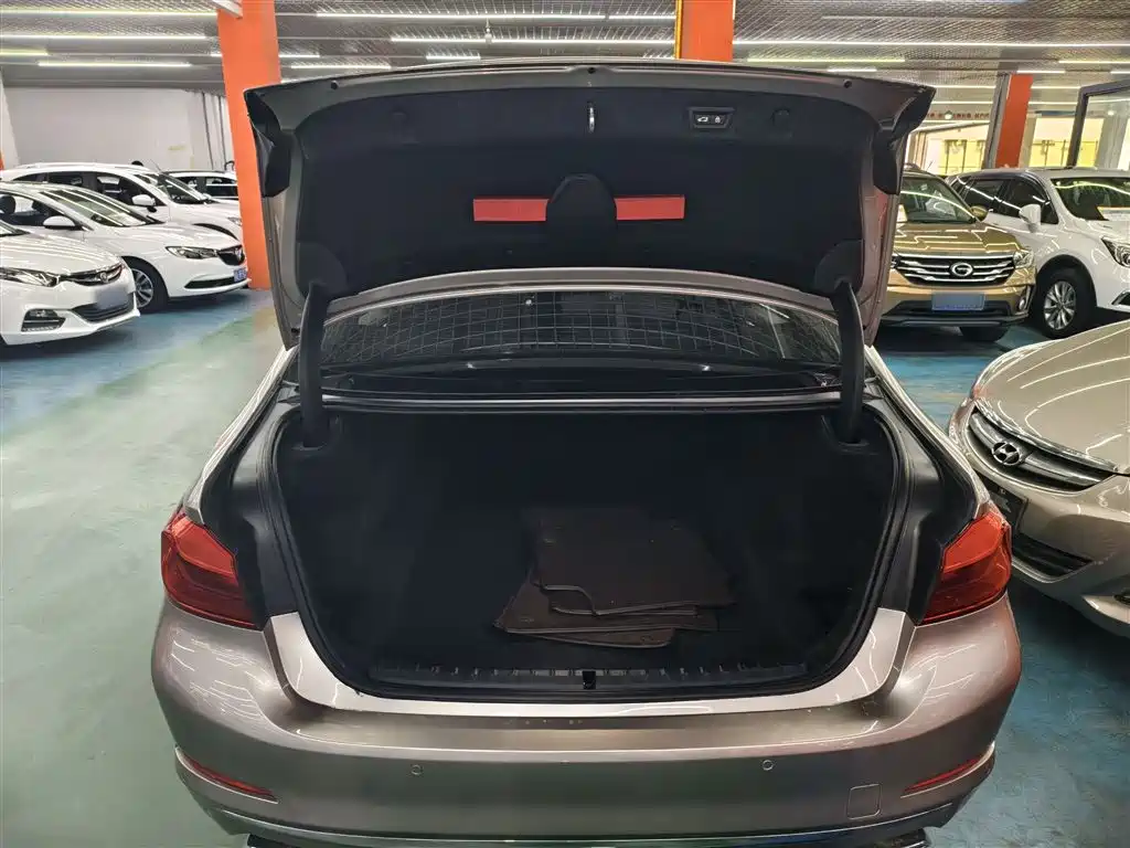 BMW 5 Series 2020 525Li Luxury Package фото 10