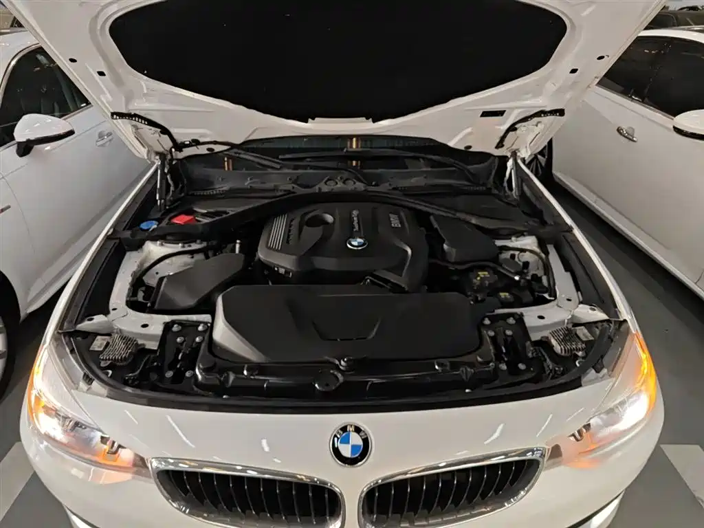 BMW 3 Series GT 2018 320i Fashion фото 20