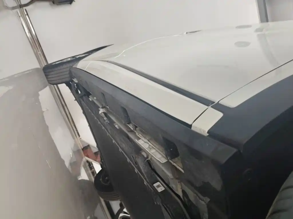 BYD Dolphin 2026 2025 420km Freedom Edition