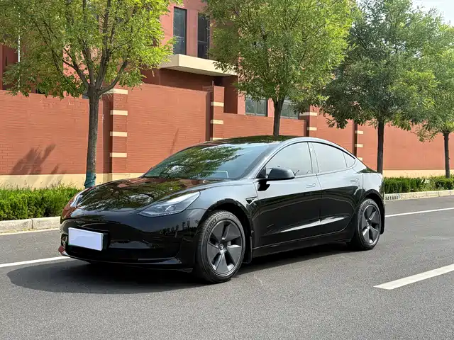 Tesla Model 3 Задний привод