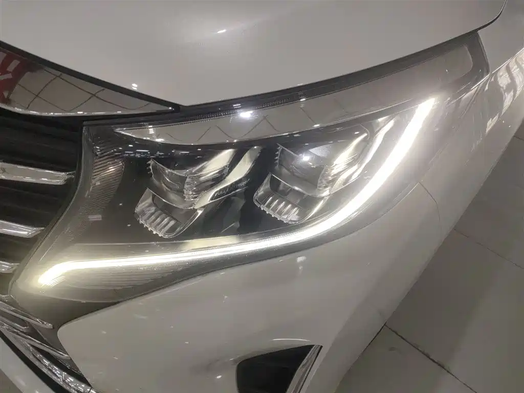 GAC Trumpchi Trumpchi M8 2021 Leading Show Series 390T Premium Edition фото 18