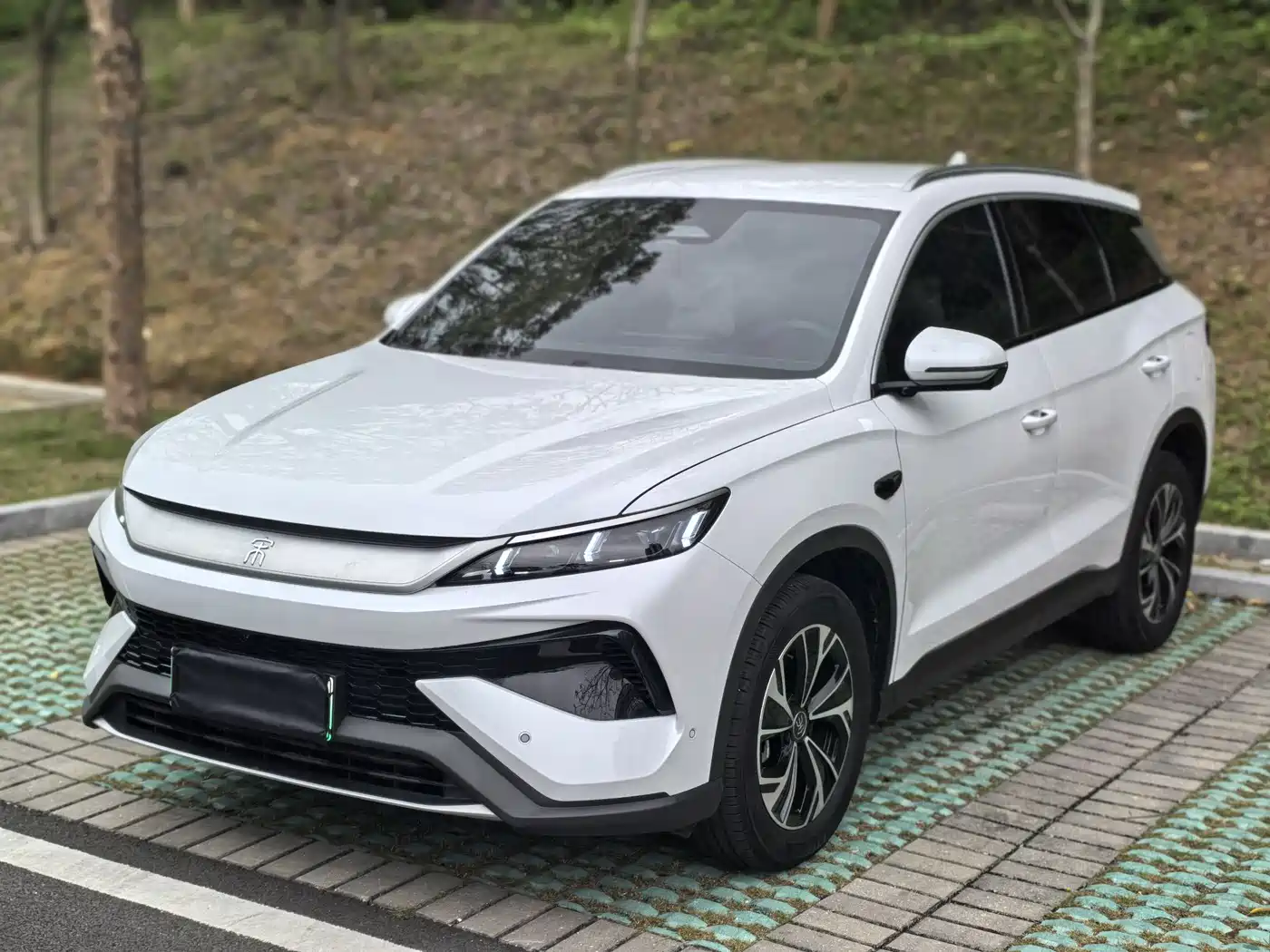 BYD SONGJIANG NEW ENERGY