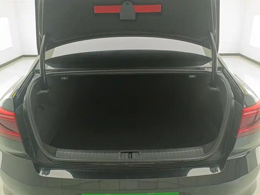Volkswagen Magotan GTE Plug-in Hybrid 2022 GTE Luxury фото 4
