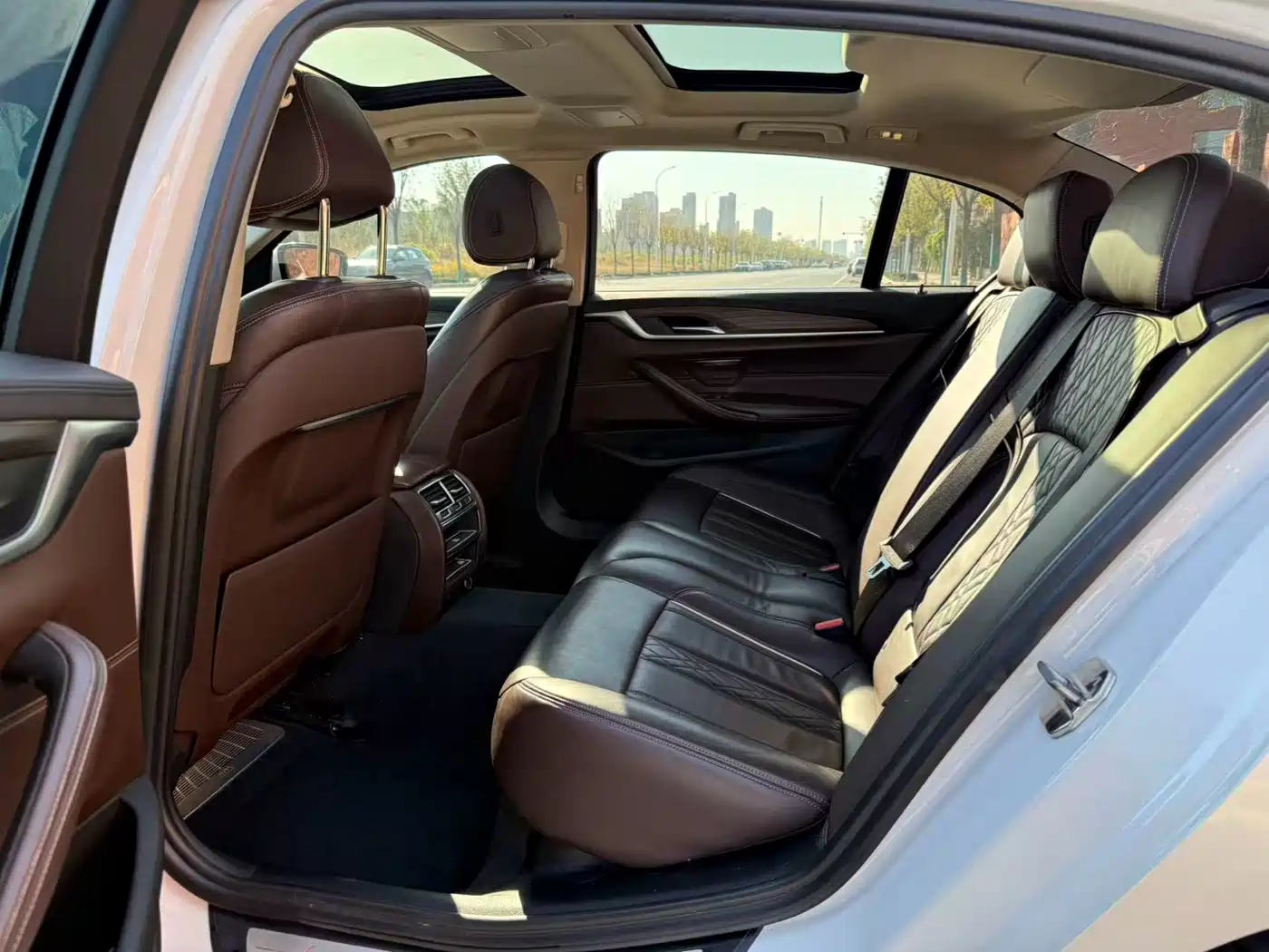 BMW 5 Series 2019 530Li Leading Luxury Package фото 5
