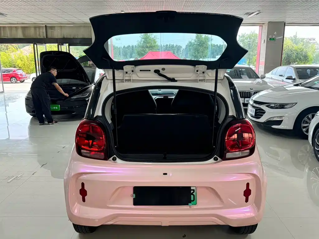 Roewe Kaiwei CLEVER 2023 2022 311km Vitality Bobo Edition