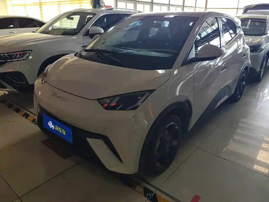 BYD Seagull 2024