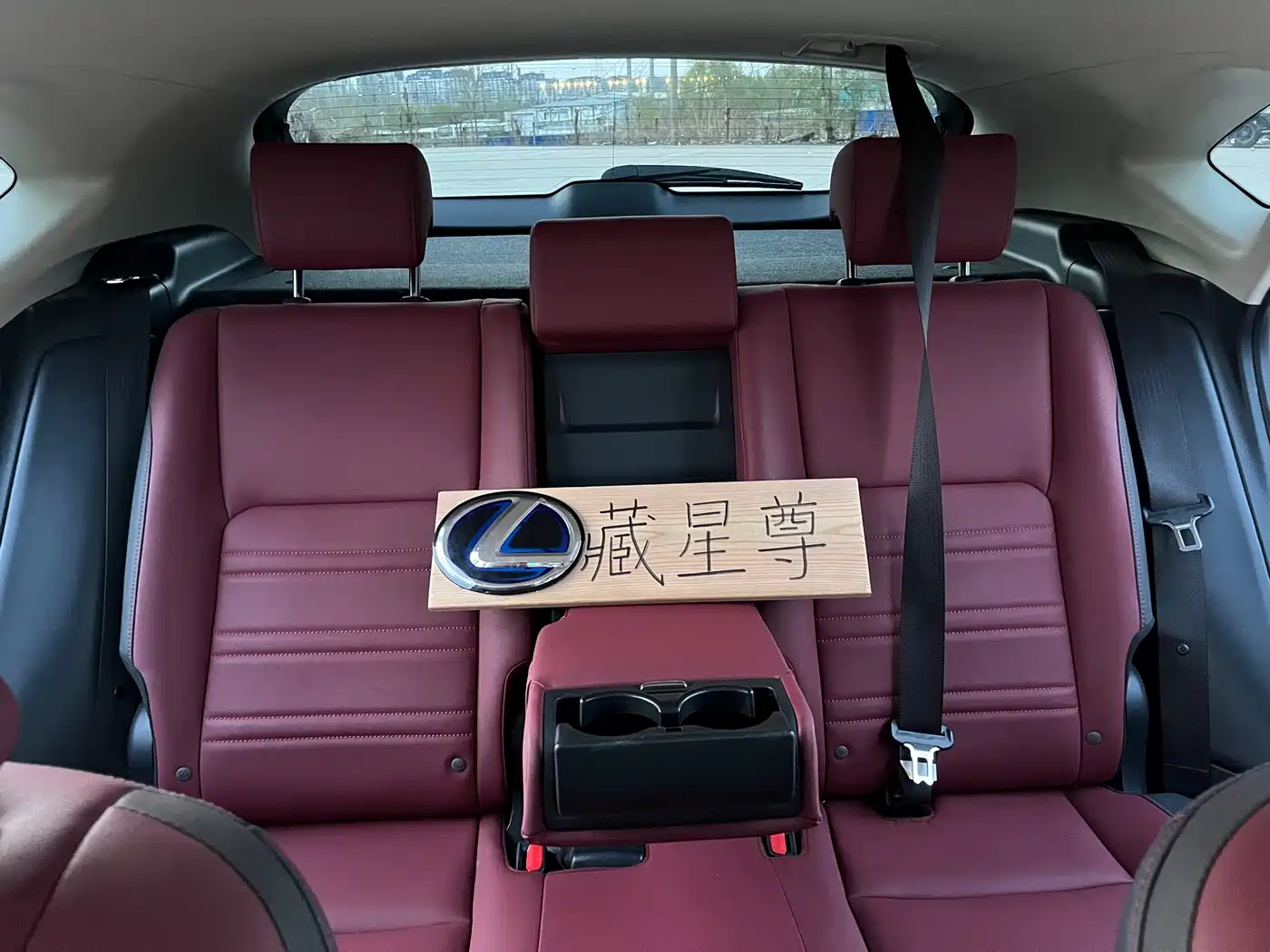 Lexus NX 2018 Model 300 FWD Fengxing Edition фото 27