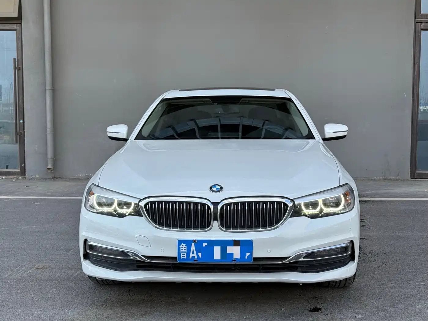 BMW 5 Series 2019 530Li Leading Luxury Package фото 2