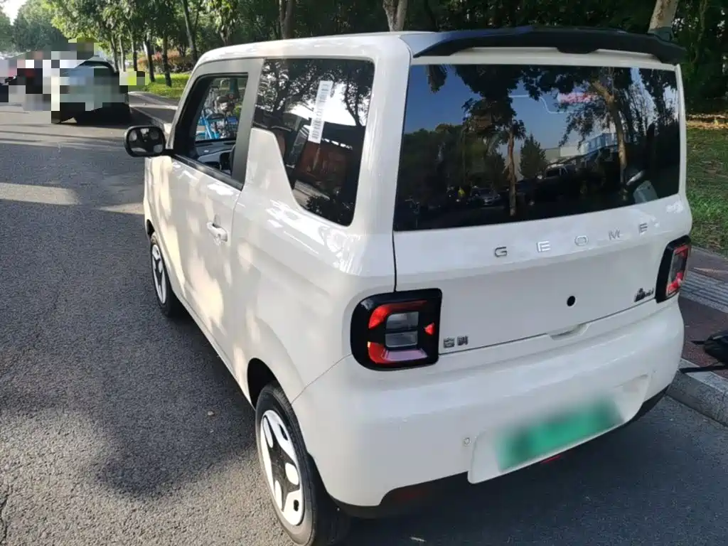 Geely Galaxy Panda 2025 2025 Panda mini 210km Vitality Bear