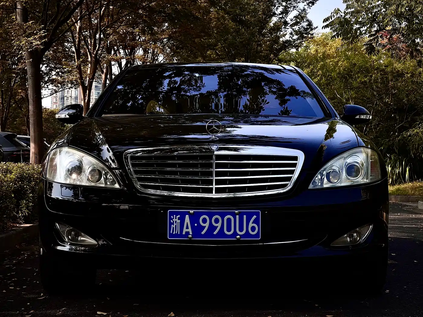 Mercedes-Benz S-Class 2008 Model S 600 L фото 6