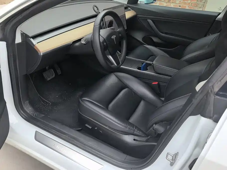 Tesla Model 3 (Import) 2020 2019 Long Range All-Wheel Drive Edition