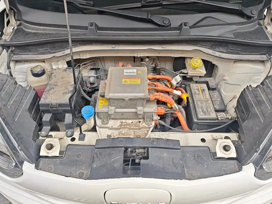 Roewe Clever 2023 2022 311km Vitality Bobo Edition