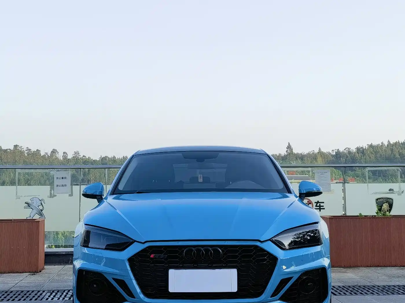 Audi A5 (Import) 2017 Sportback 40 TFSI Fashion фото 5