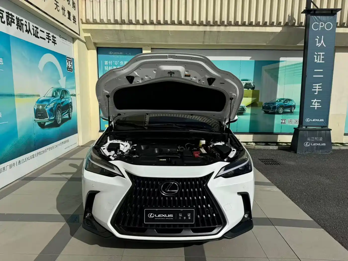 صورة 7 - Lexus NX