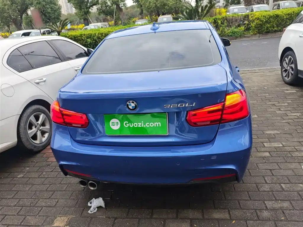 BMW 3 Series 2019 320Li M Sport Package фото 6