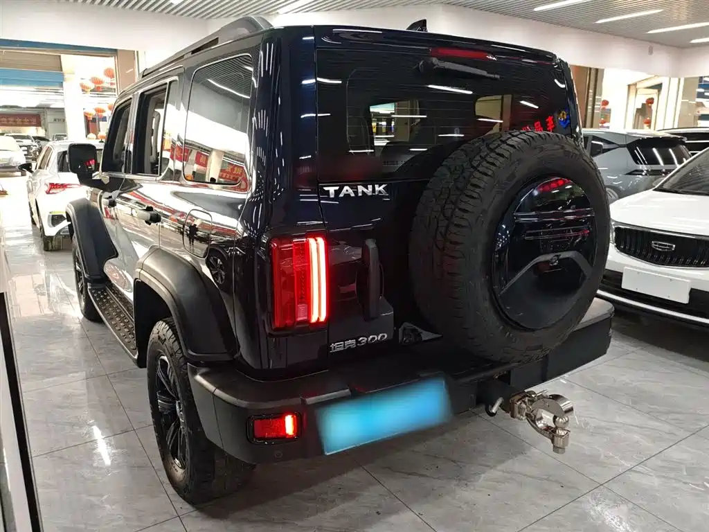 Tank 300 2023 Off-Road Edition 2.0T Conqueror фото 23