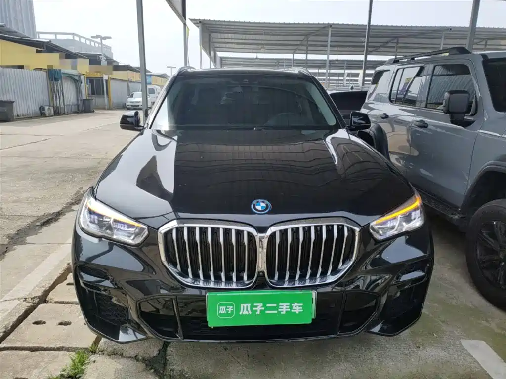 BMW X5 New Energy(Imported) 2021 xDrive45e M Sport Package фото 3