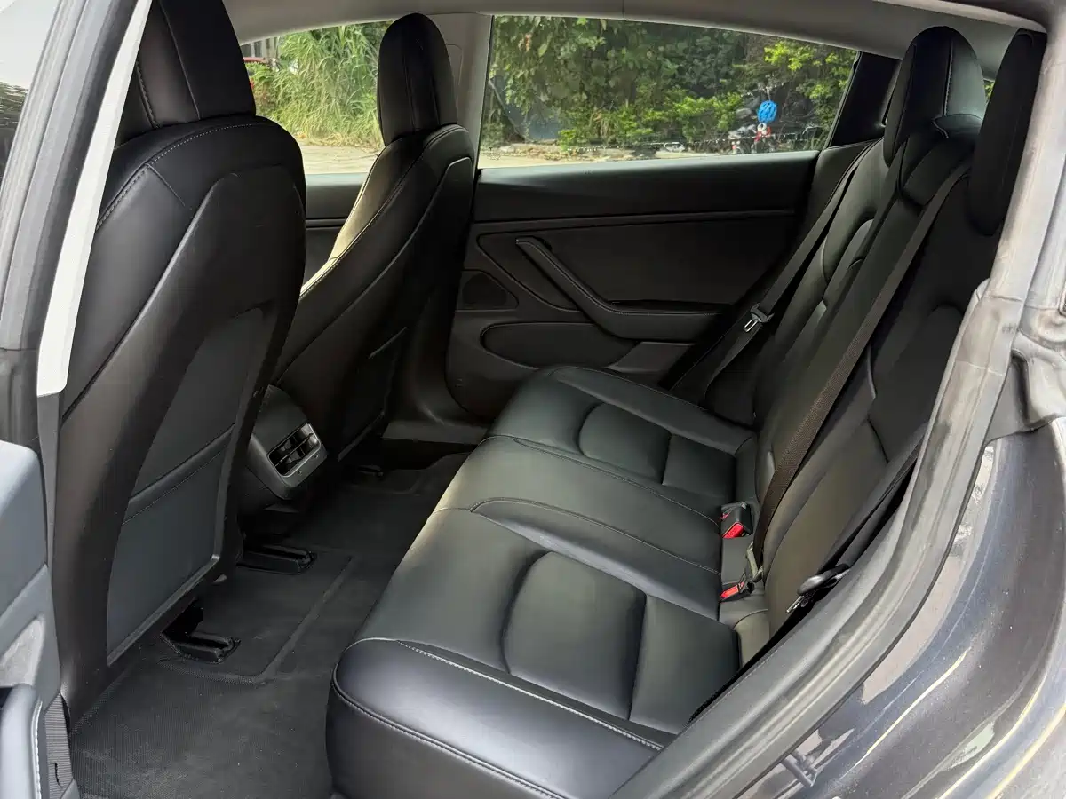 Tesla Model 3 (Import) 2019 2019 Long Range RWD Version