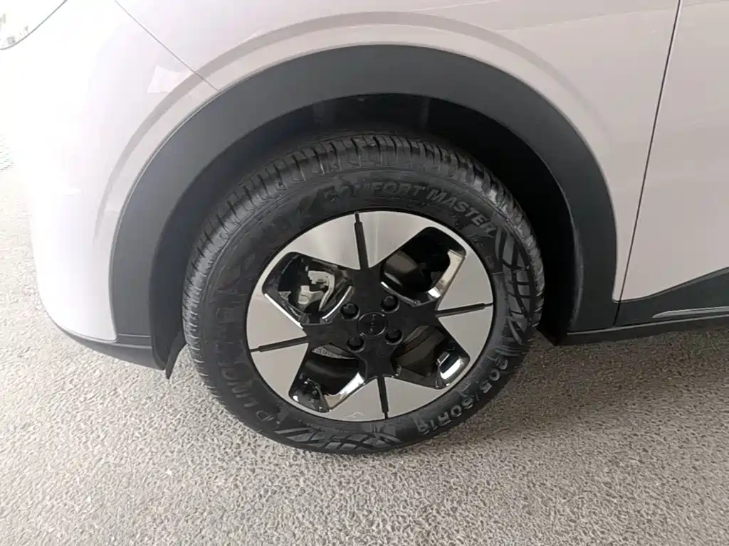 Geely Galaxy Starry Wish 2026 2026 Model 310km Dream Edition