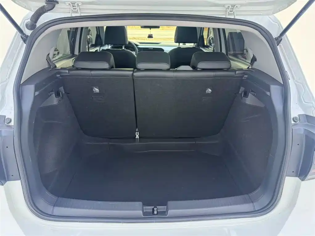 Volkswagen Tanying 2021 1.5L Automatic Smart Connect Edition фото 9