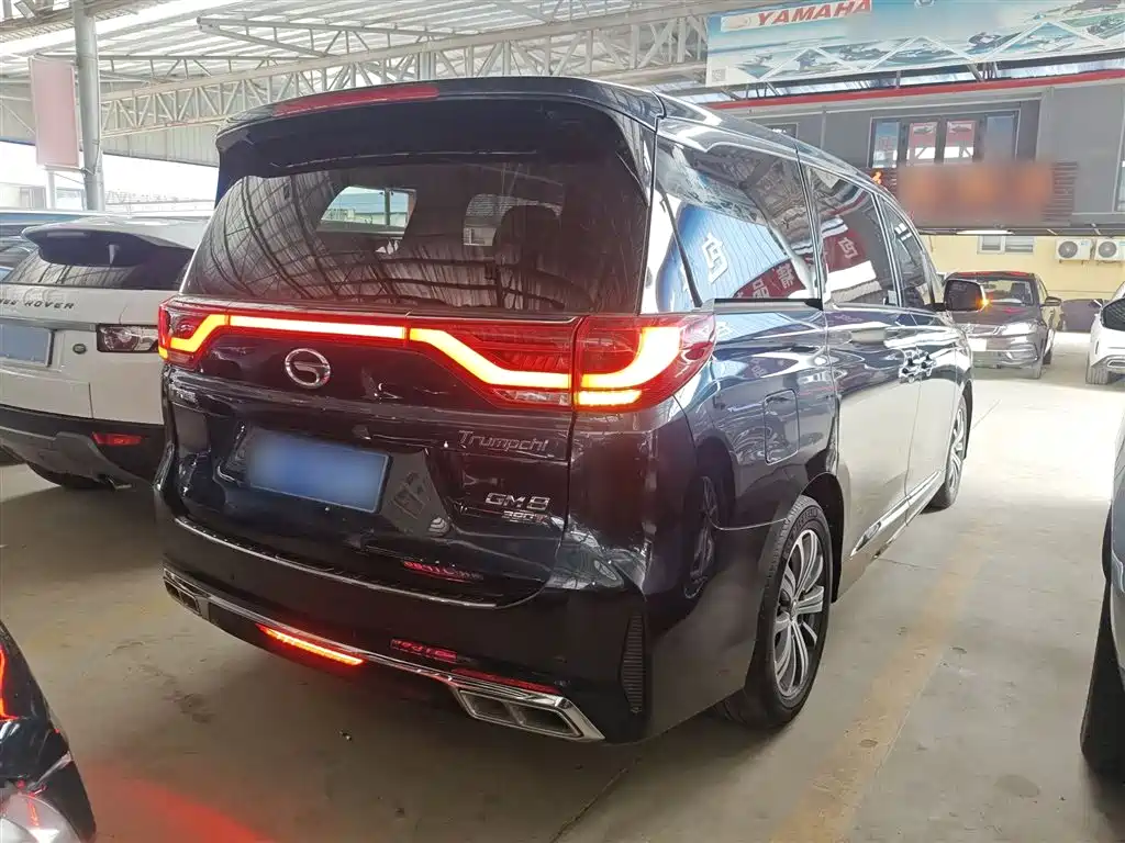 GAC Trumpchi Trumpchi M8 2020 Pilot 390T Premium Edition фото 7