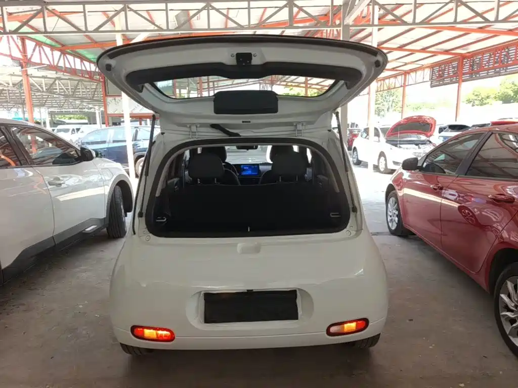 Ora White Cat 2021 2020 401km Flagship Model