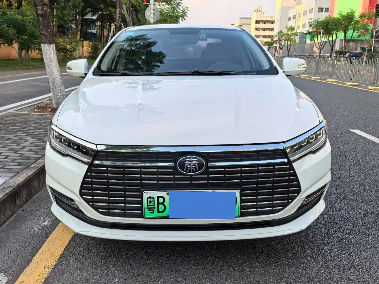 BYD Qin New Energy 2019 Travel Edition фото 2