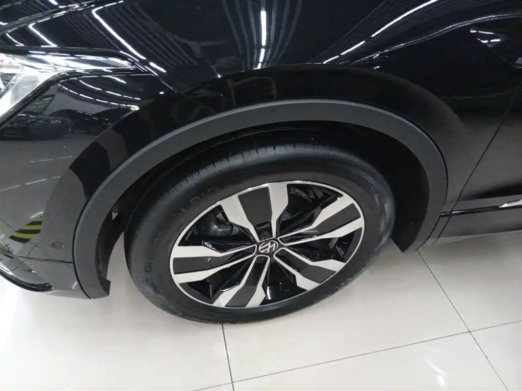 Volkswagen Tiguan L 2025 330TSI Automatic 2WD R-Line Dragon Glory Edition фото 25