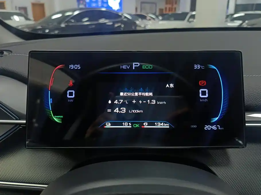 BYD Destroyer 05 2024 2023 Champion Edition DM-i 55KM Luxury