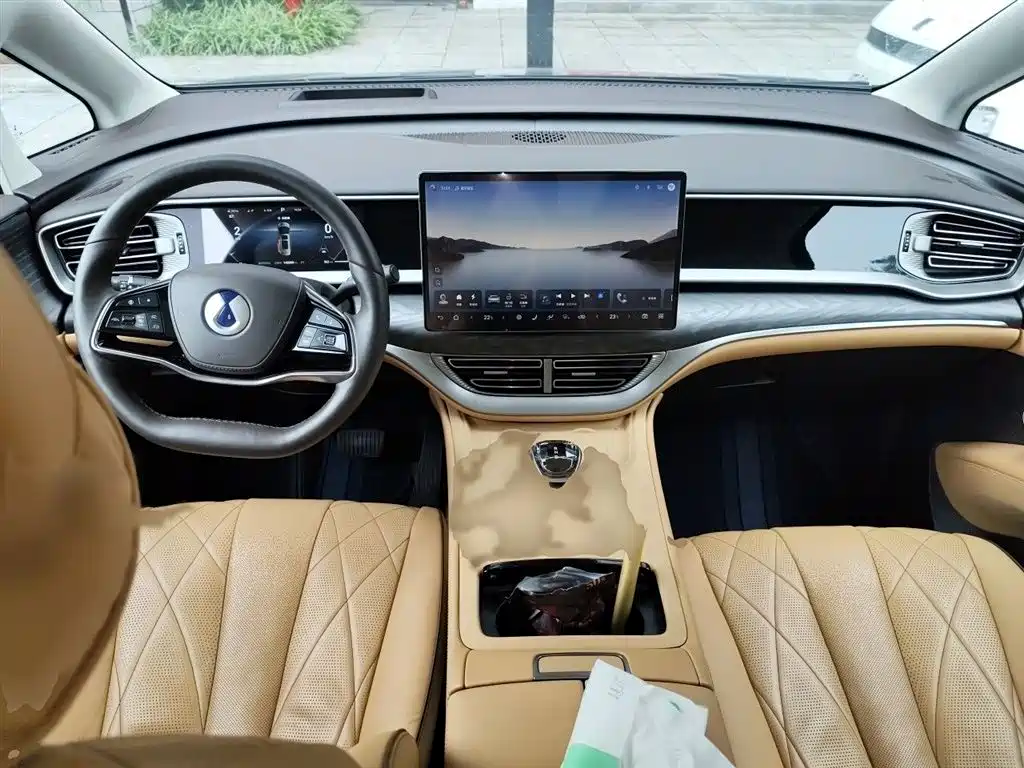 Denza D9 2024 DM-i 980 AWD Prestige фото 13