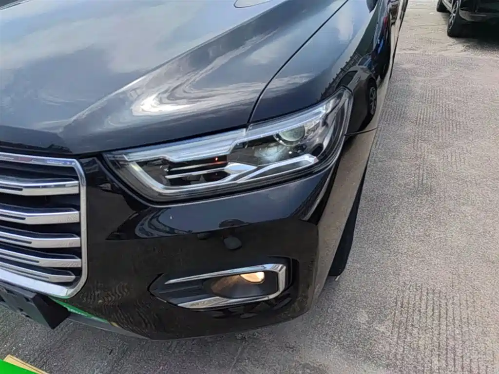 Haval H6 2019 1.5GDIT Automatic Champion Edition China VI фото 24