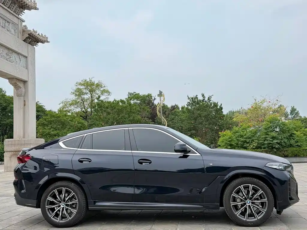 2024 BMW X6