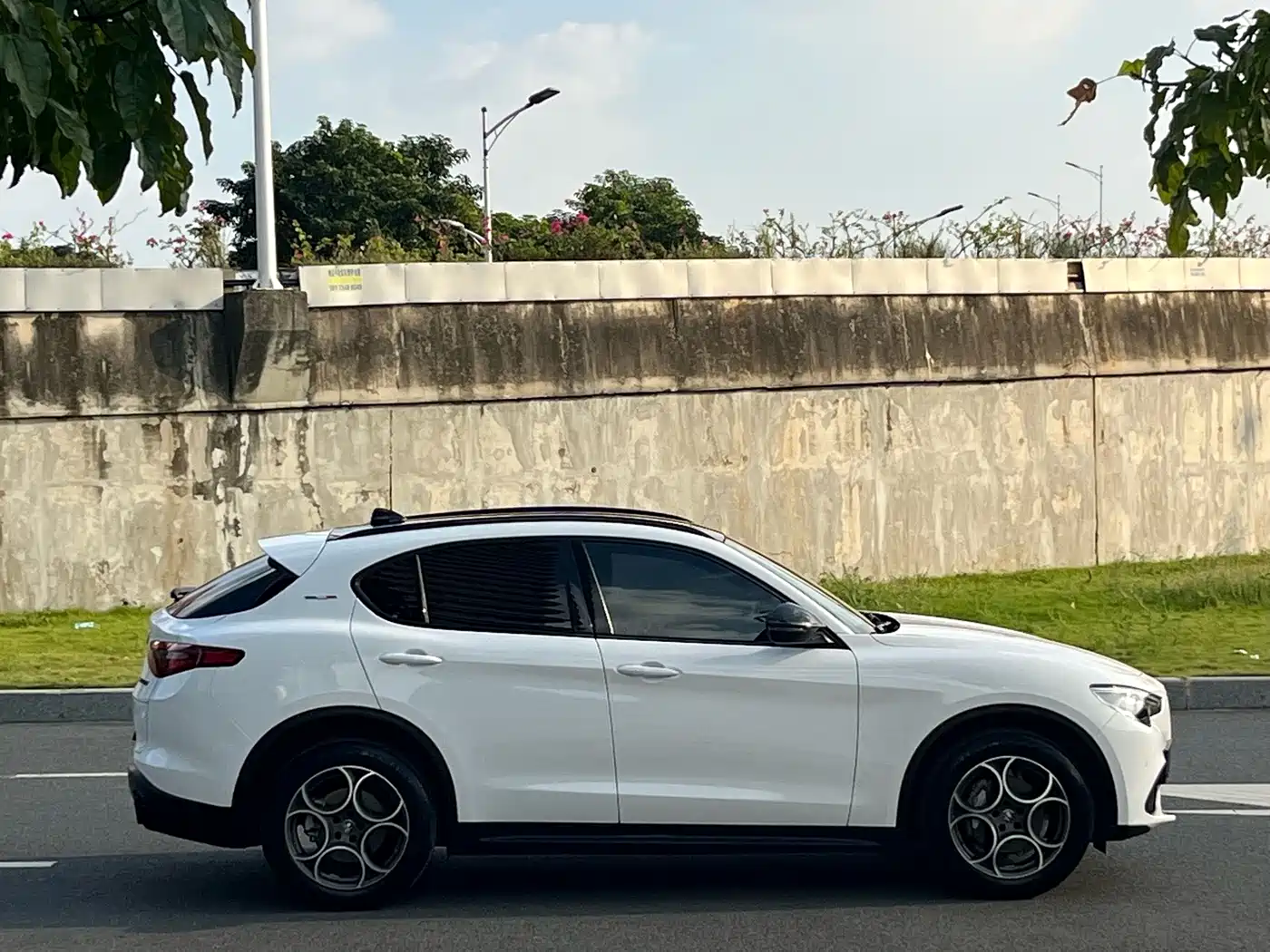 Alfa Romeo Stelvio 2021 2020 2.0T 280HP Luxury Edition