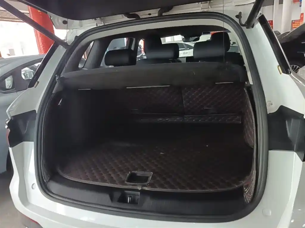 BYD Song Pro 2019 1.5T Automatic Premium фото 19