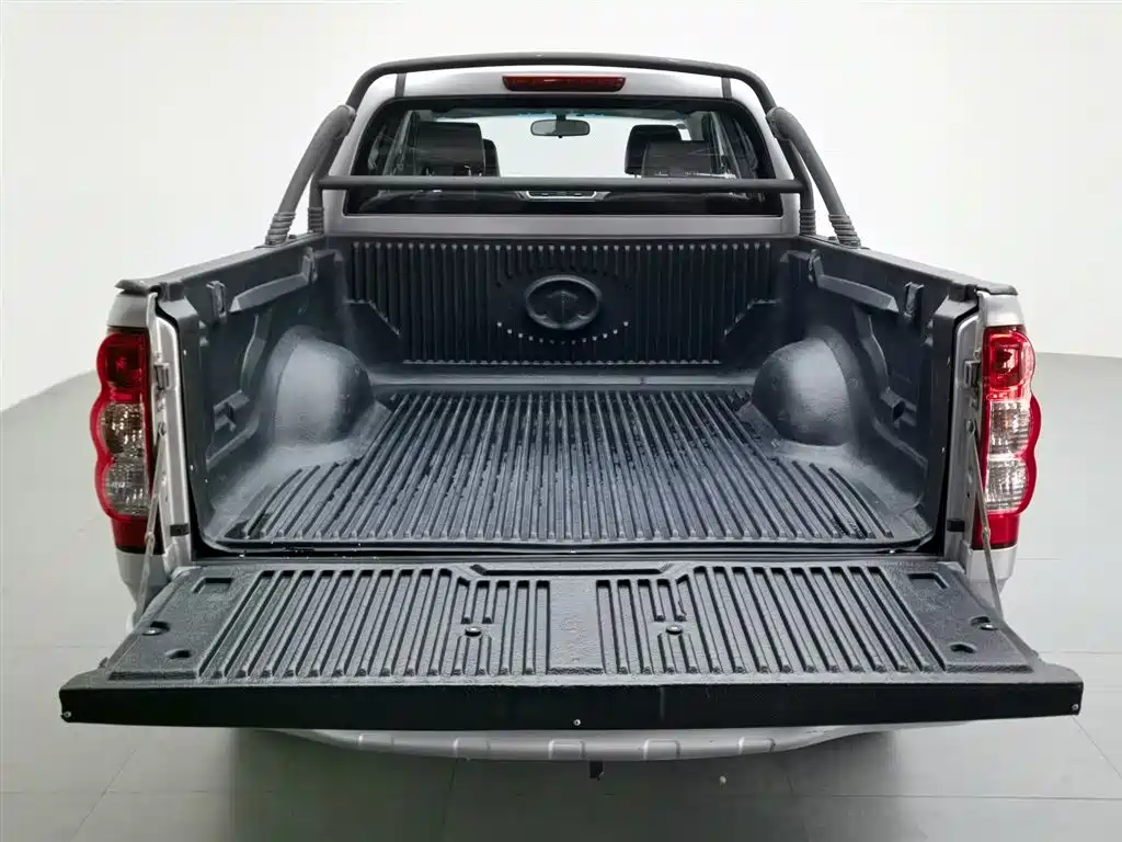 GREAT WALL FENGJUN 5