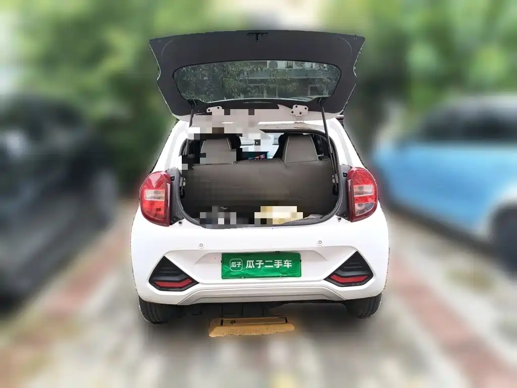JMCG New Energy Little Kirin 2024 2023 Model Lucky Edition 201km Comfort