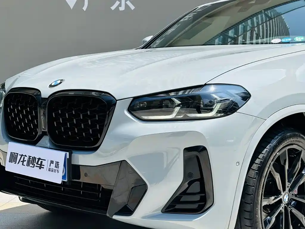 BMW X4 2023 2022 xDrive 30i M Sport Blackout Package