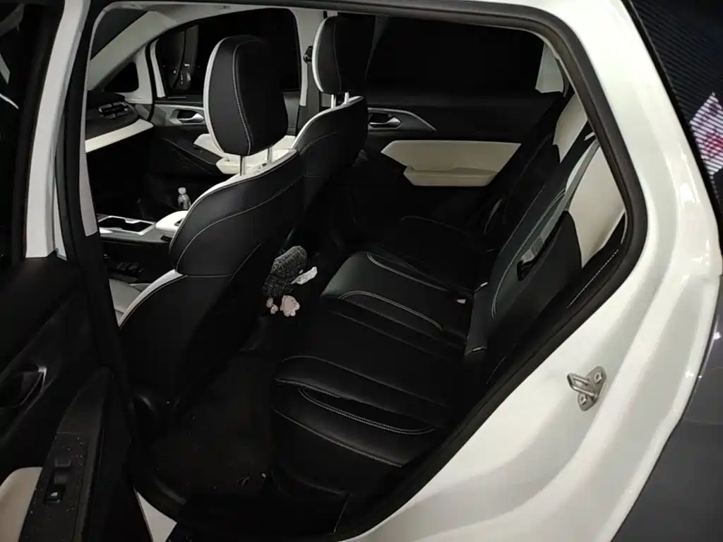 Geely Geometry E Firefly 2024 2024 Model 301km Starlight