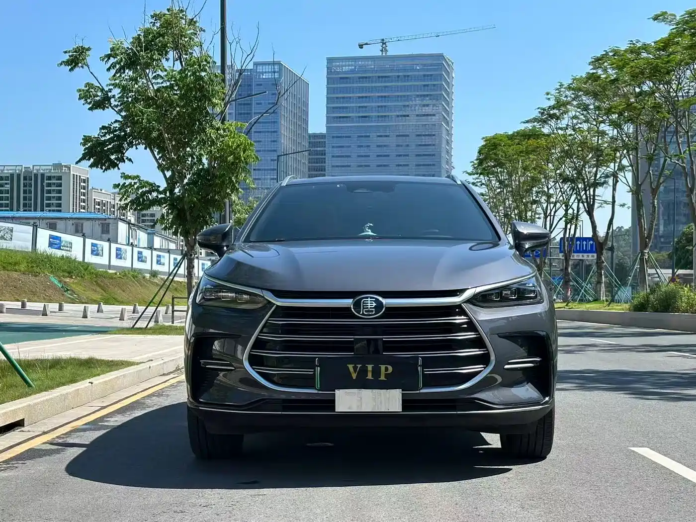 BYD Tang New Energy 2021 DM-i 112KM Honor фото 2