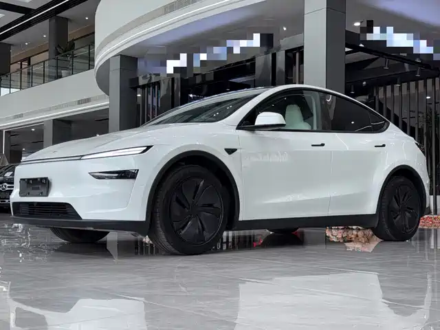 Tesla Model Y 2025 Rear-Wheel Drive