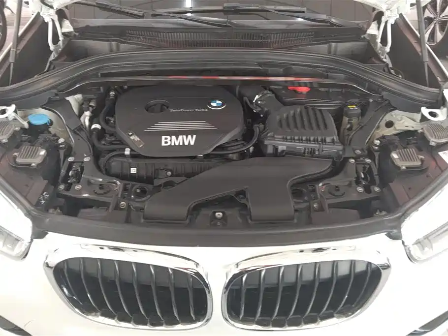 BMW X1 2018 xDrive20Li Luxury Model фото 10
