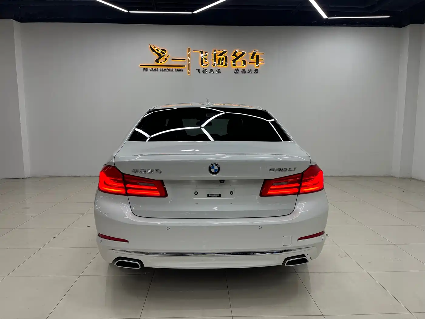 BMW 5 Series 2018 Facelift 530Li Leading Luxury Package фото 15